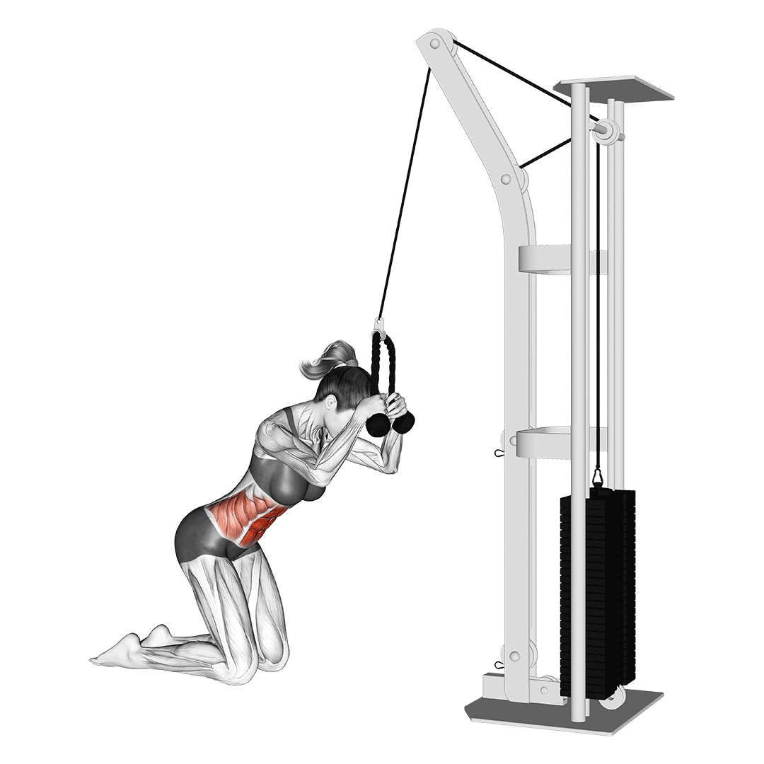 کرانچ زانو با سیمکش (Cable Knee Crunch) — حرکت شکم (آموزش تصویری)