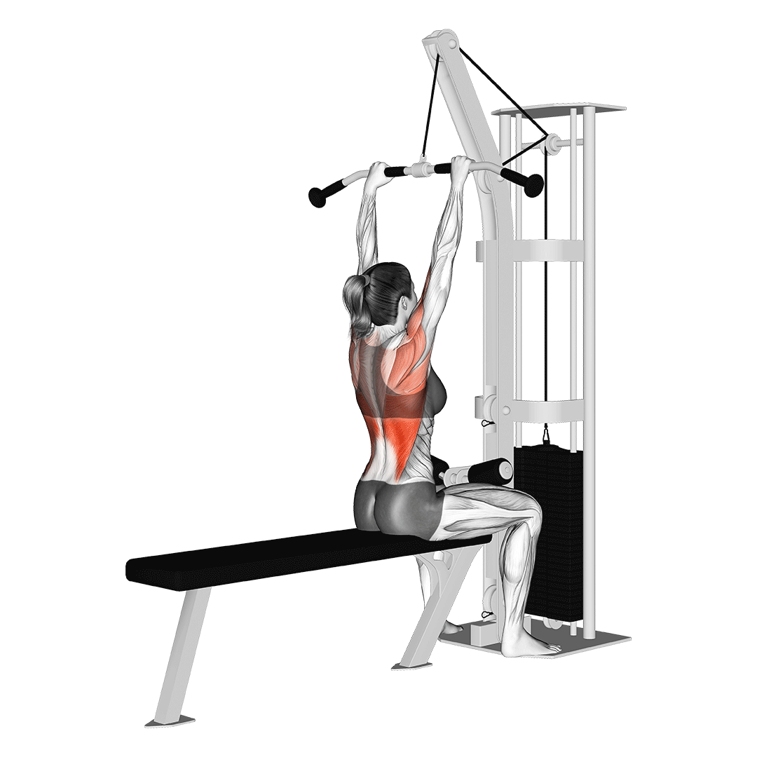 زیربغل سیمکش از بالا (Lat Pulldown) — حرکت زیربغل (آموزش تصویری)