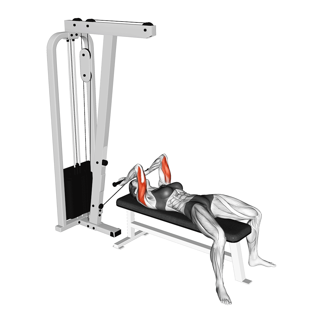 پشتبازو خوابیده سیمکش (Cable Lying Tricep Extension) — حرکت پشتبازو (آموزش تصویری)