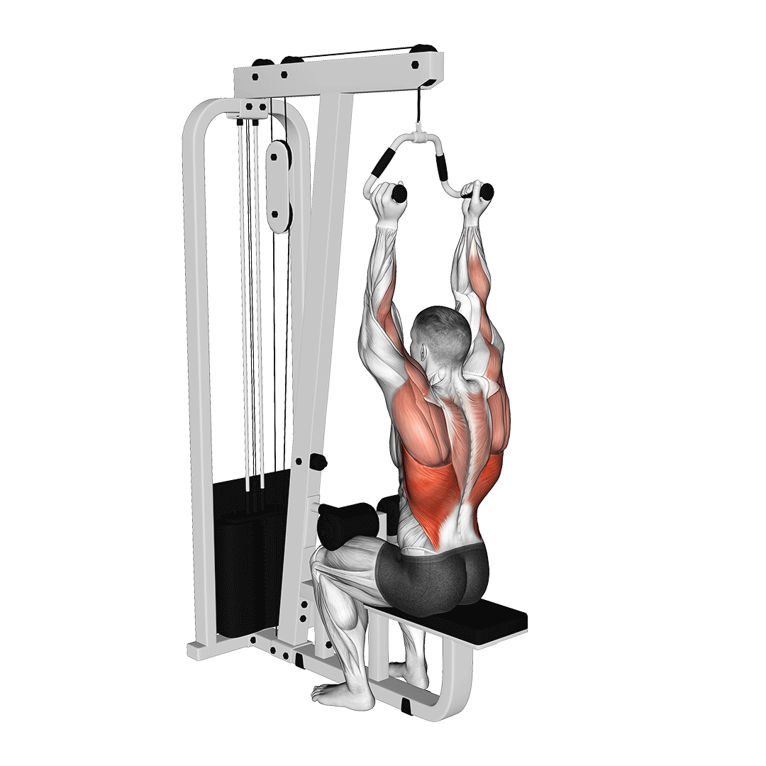زیربغل سیمکش دست موازی (Neutral Grip Lat Pulldown) — حرکت زیربغل (آموزش تصویری)