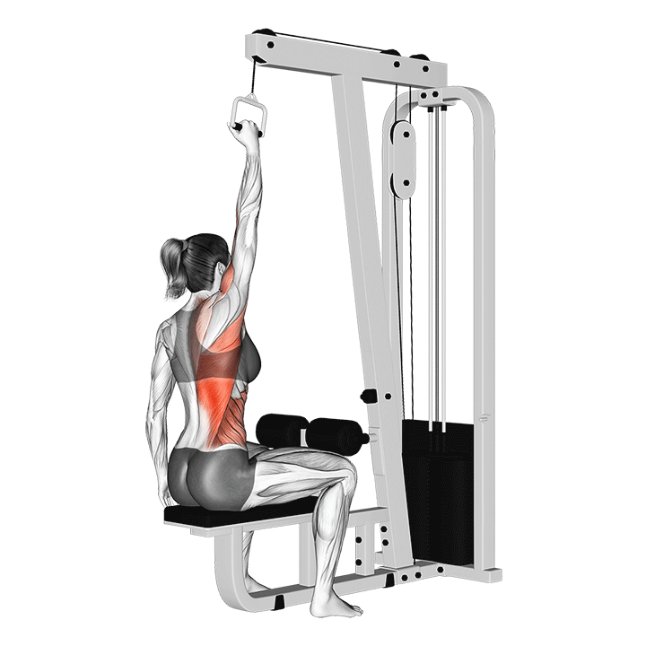 زیربغل سیم‌کش تک‌دست (Cable One Arm Late Pulldown) — حرکت زیربغل (آموزش تصویری)