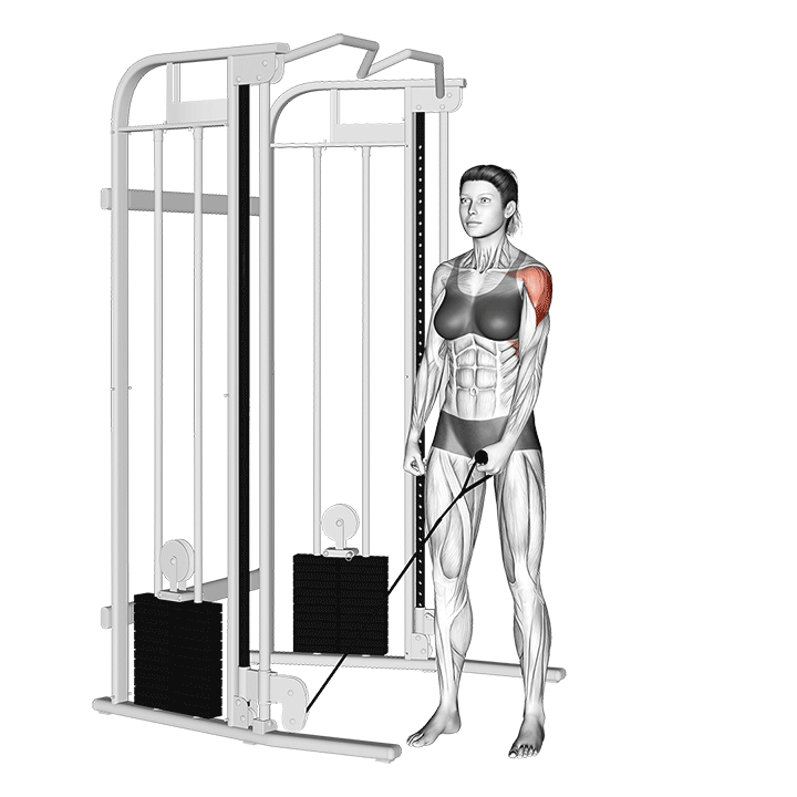 نشر جانب تکدست سیمکش (Cable Lateral Raise) — حرکت سرشانه (آموزش تصویری)