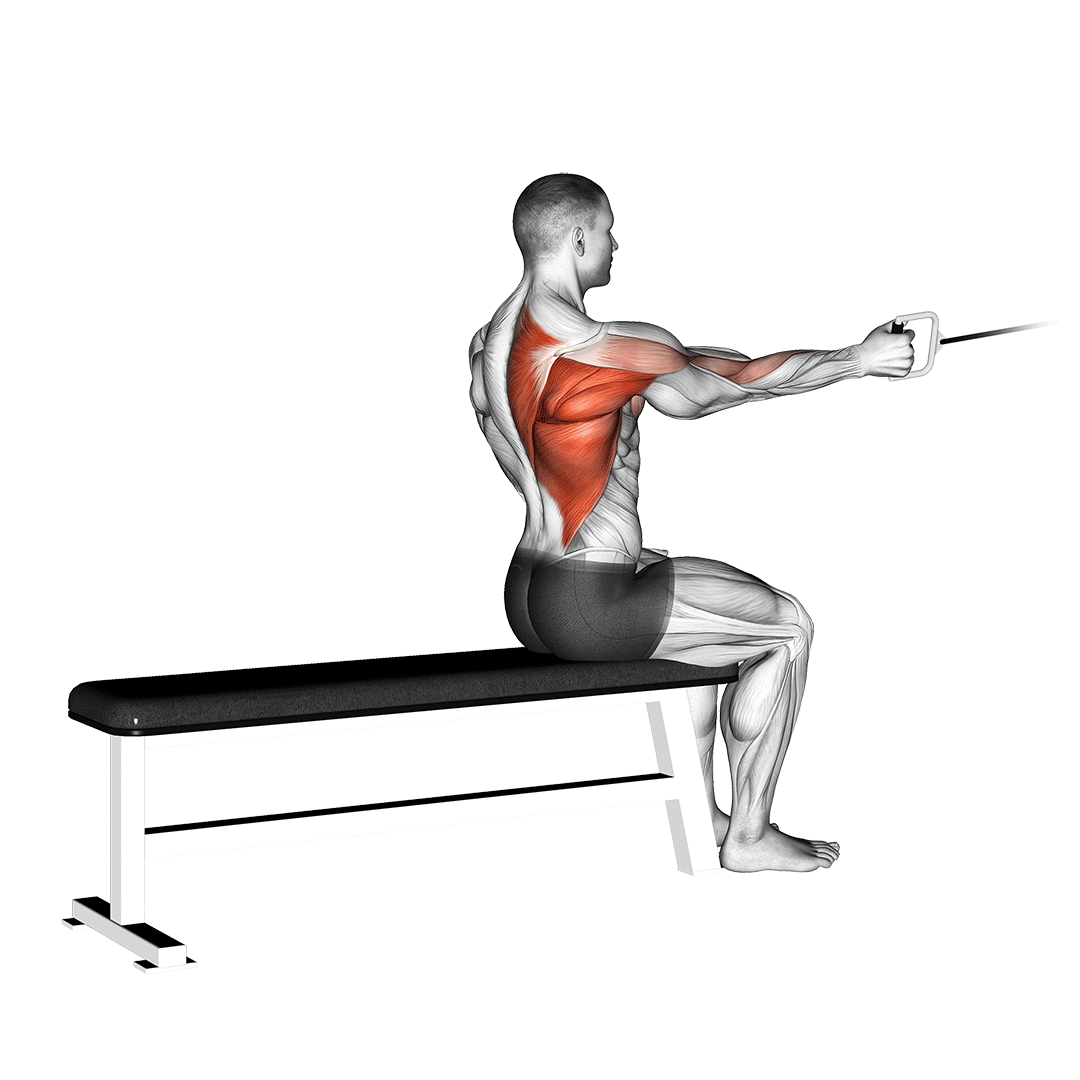 زیربغل قایقی تک‌دست (Cable One Arm Seated Row) — حرکت زیربغل (آموزش تصویری)