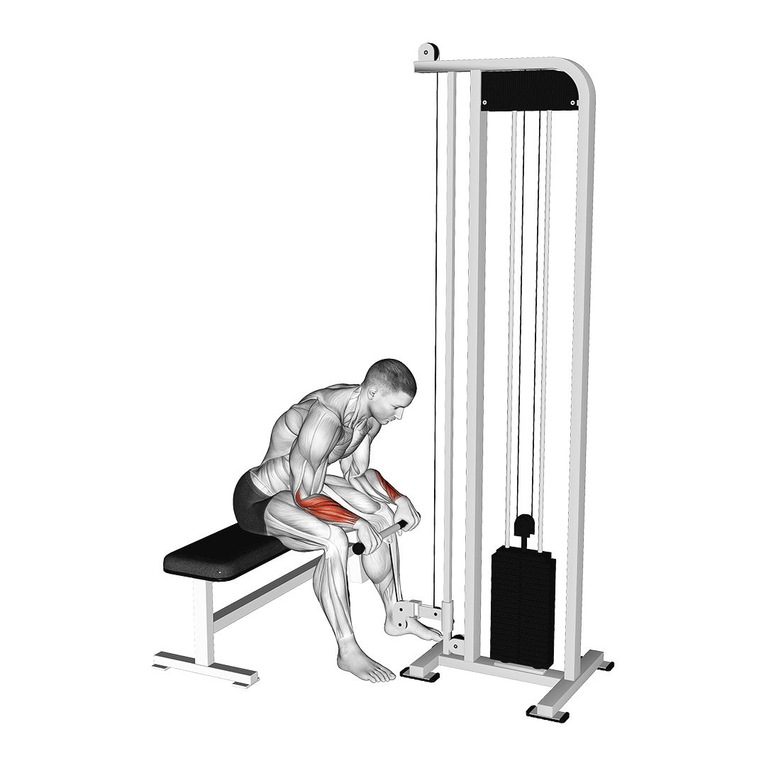 ساعد معکوس سیم‌کش (Cable Reverse Wrist Curl) — حرکت ساعد (آموزش تصویری)