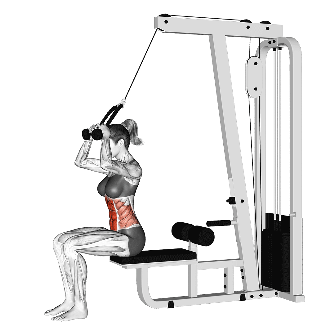 کرانچ سیمکش نشسته (Cable Seated Crunch) — حرکت شکم (آموزش تصویری)