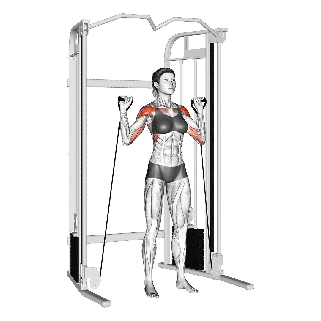 پرس سرشانه سیم‌کش (Cable Shoulder Press) — حرکت سرشانه (آموزش تصویری)