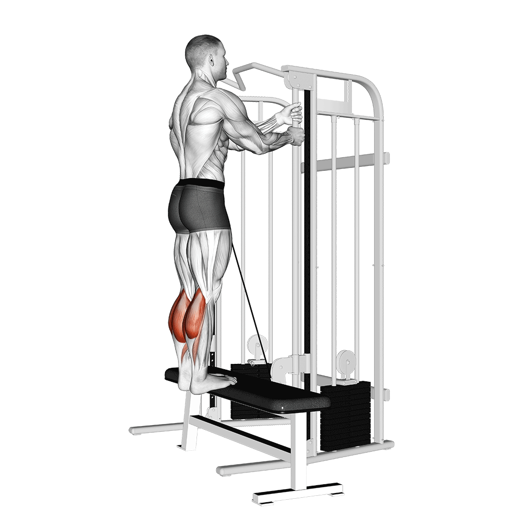 ساق پا ایستاده سیمکش (Cable Standing Calf Raise) — حرکت ساق (آموزش تصویری)