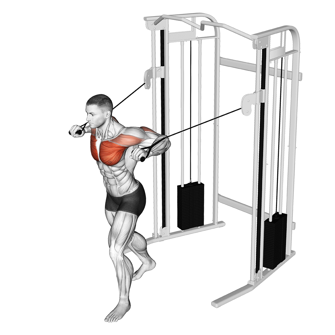 پرس سینه ایستاده سیمکش (Cable Chest Press) — حرکت سینه (آموزش تصویری)