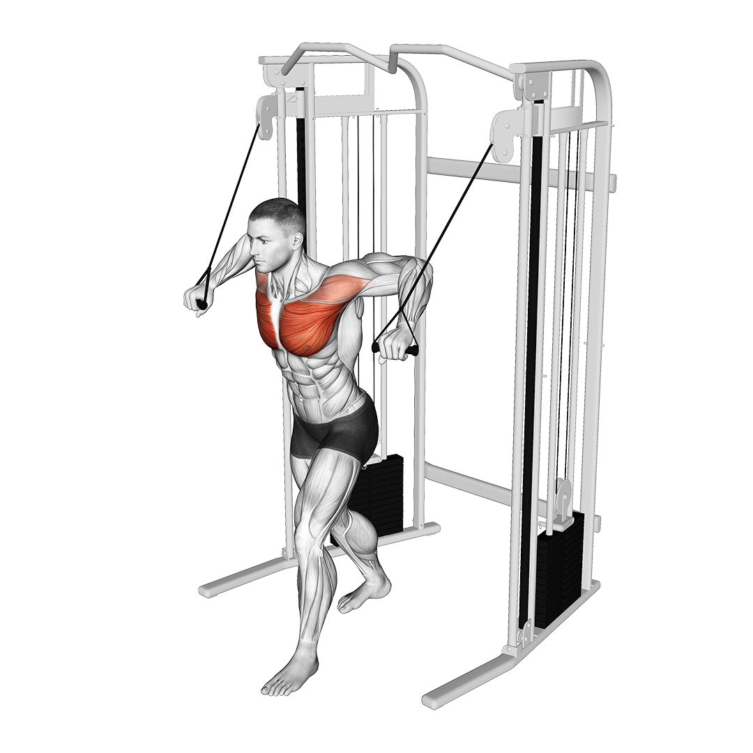 قفسه سینه سیم‌کش (Cable Standing Crossover) — حرکت سینه (آموزش تصویری)