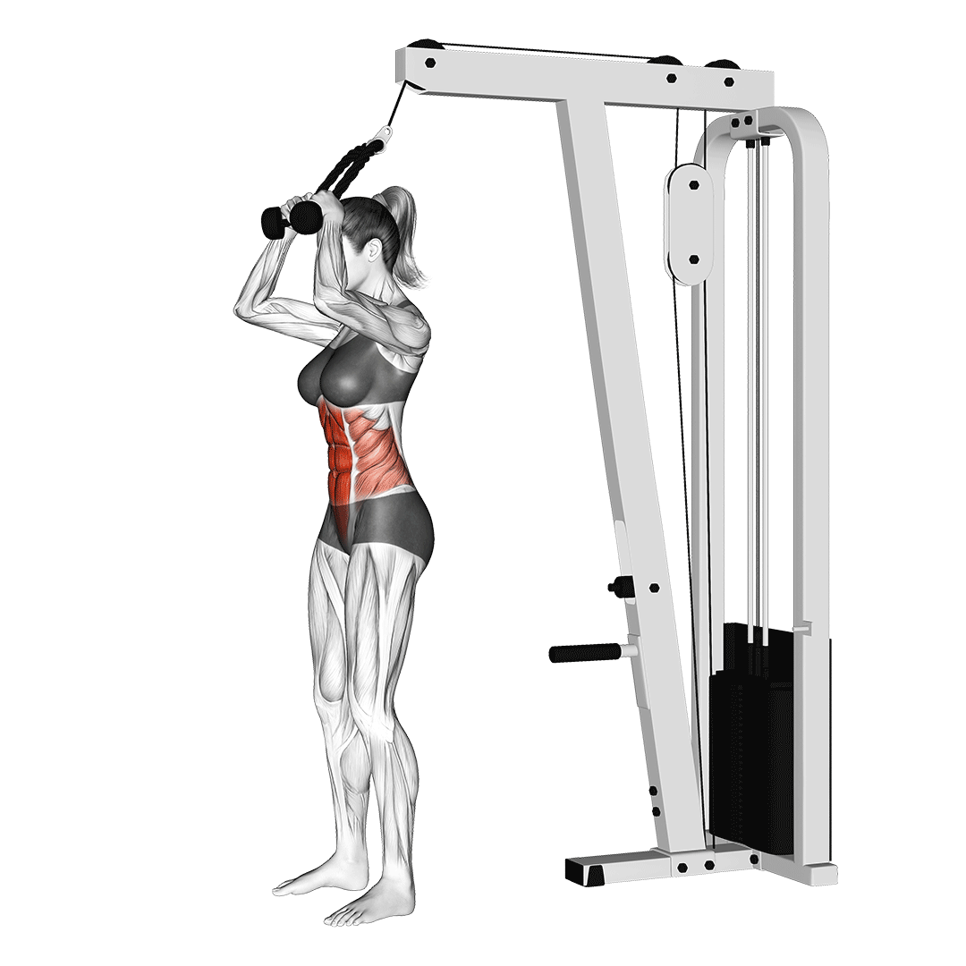 کرانچ ایستاده با سیم‌کش (Standing Crunch) — حرکت شکم (آموزش تصویری)