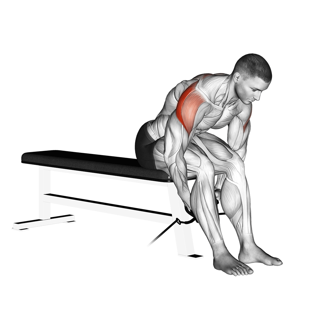 نشر خم سیمکش نشسته (Cabled Seated Rear Lateral Raise) — حرکت سرشانه (آموزش تصویری)