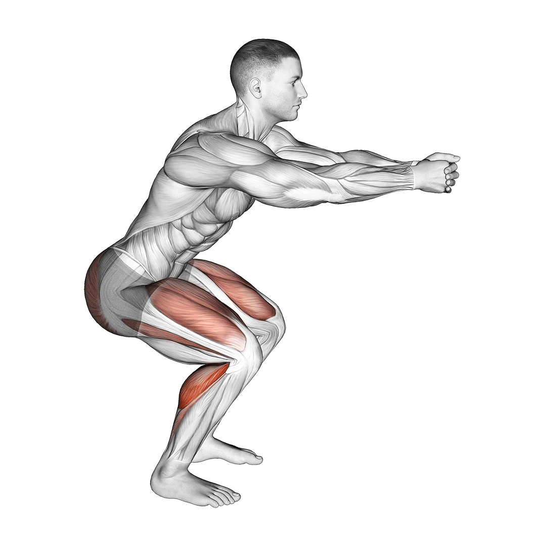 اسکوات ساق (Calf Squats) — حرکت ساق (آموزش تصویری)