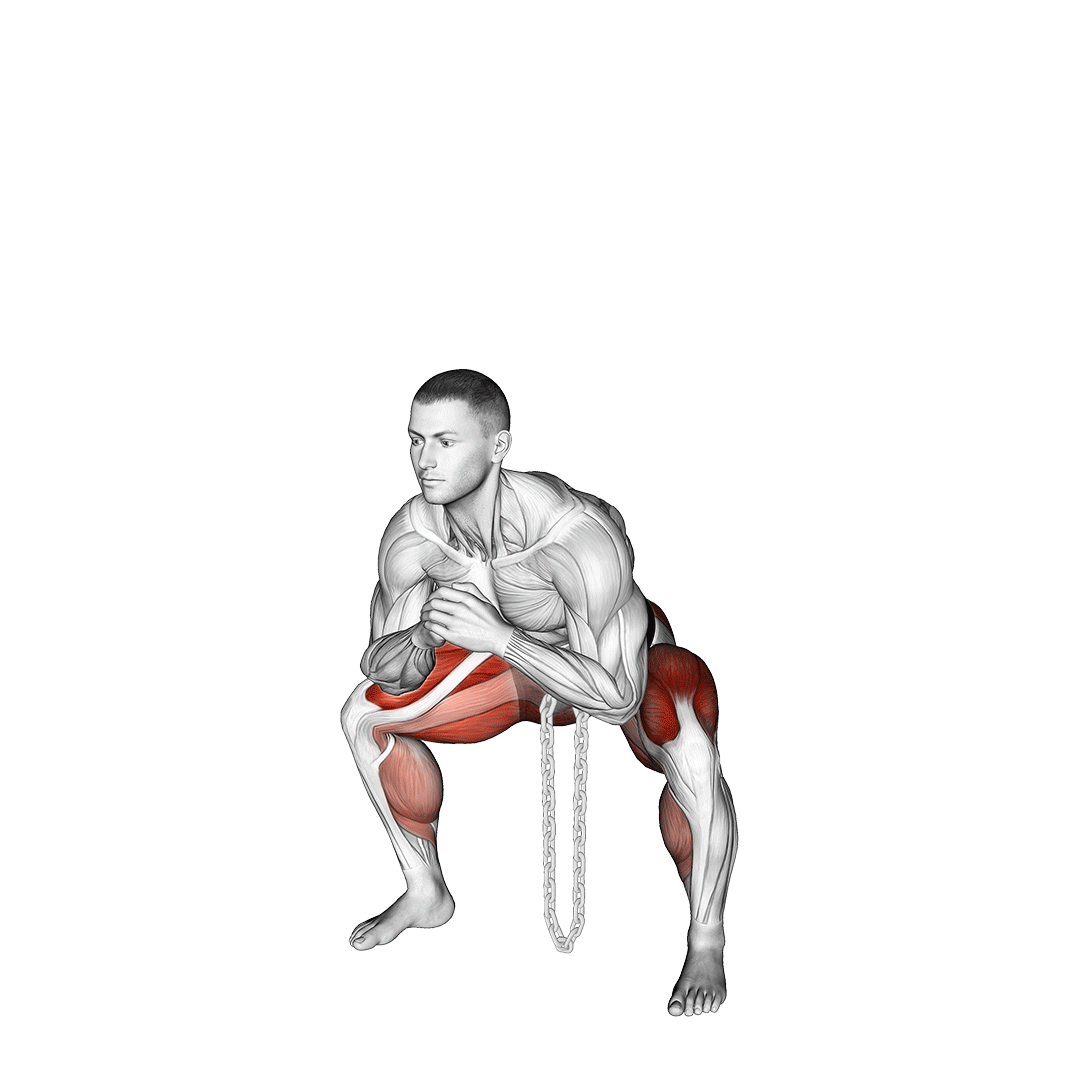 اسکوات سومو با زنجیر (Chain Sumo Squat) — حرکت چهارسر (آموزش تصویری)