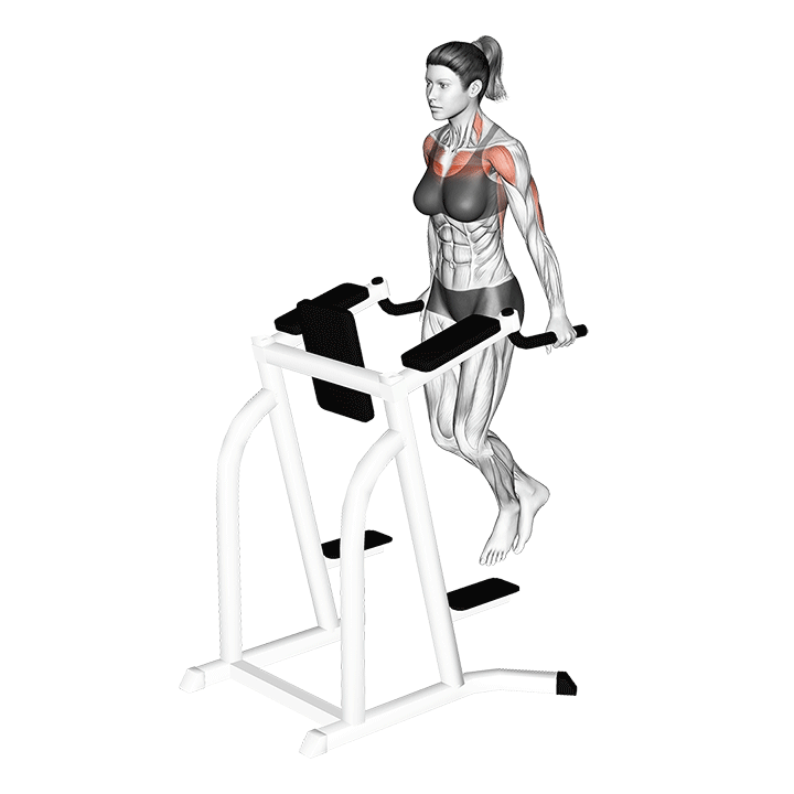 دیپ سینه (Chest Dip Movement) — حرکت سینه (آموزش تصویری)