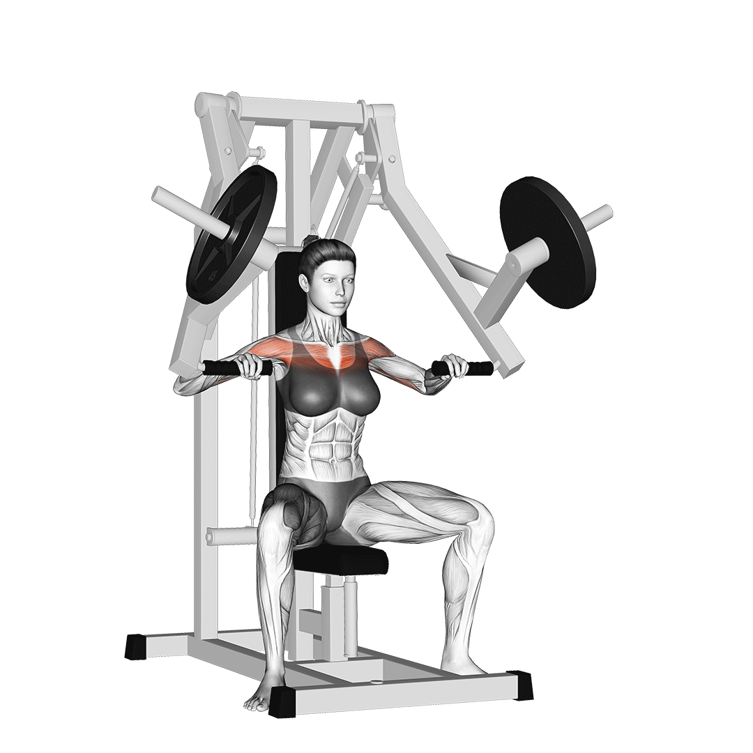 پرس سینه دستگاه (Chest Press Machine) — حرکت سینه (آموزش تصویری)