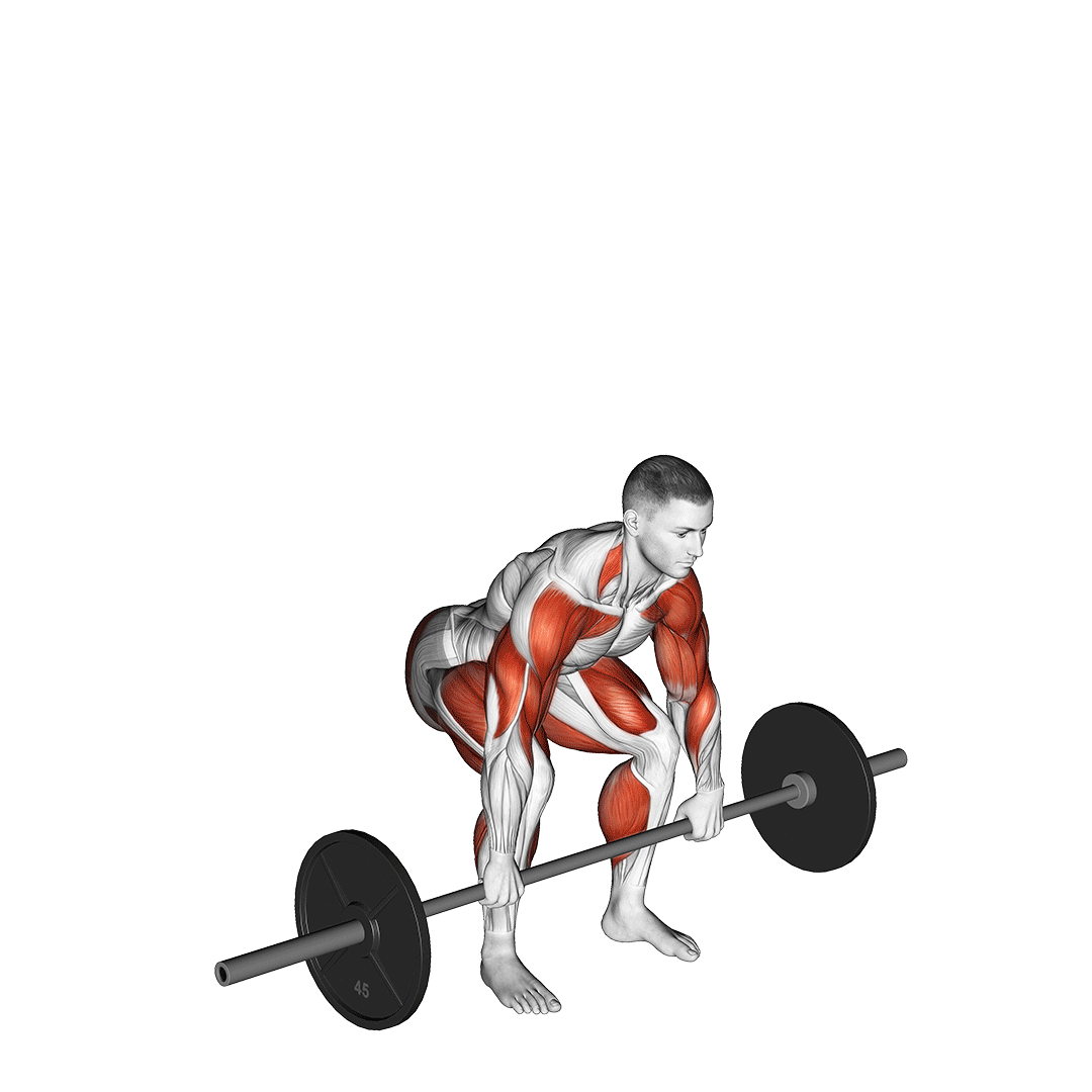 دو ضرب (Clean And Jerk) — حرکت کل بدن (آموزش تصویری)
