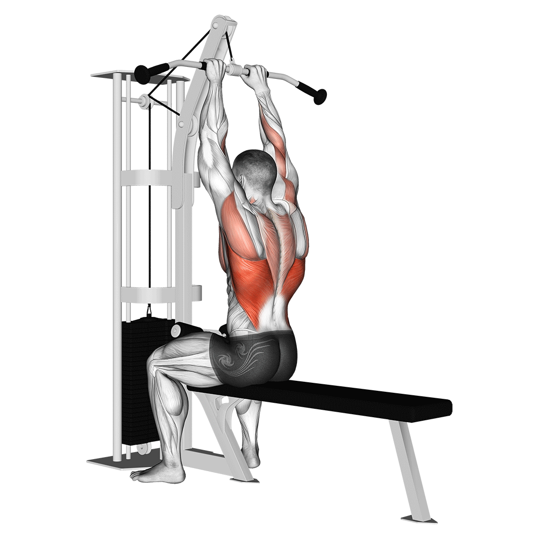 زیربغل سیمکش دست جمع با میله صاف (Close Grip Lat Pulldown Standard Bar Attachment) — حرکت زیربغل (آموزش تصویری)