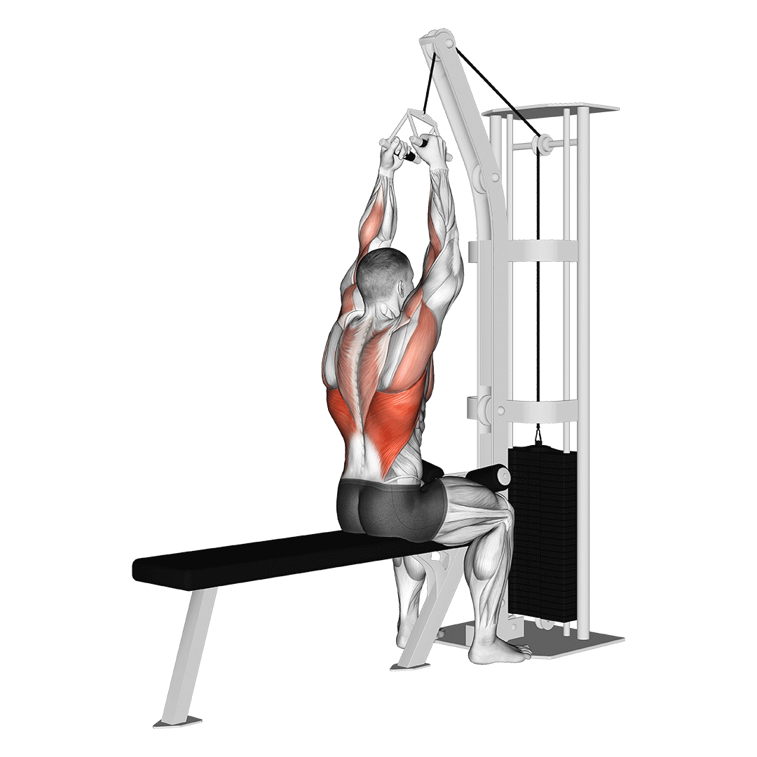 زیربغل سیم‌کش دست جمع (Close Grip Lat Pulldown) — حرکت زیربغل (آموزش تصویری)