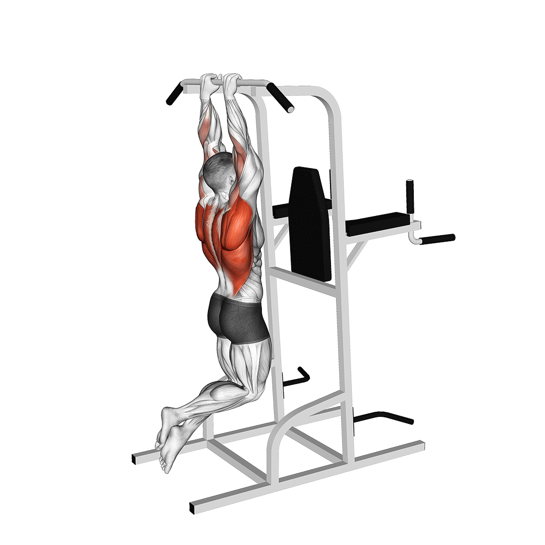بارفیکس دست جمع (Close Grip Pull Up) — حرکت زیربغل (آموزش تصویری)