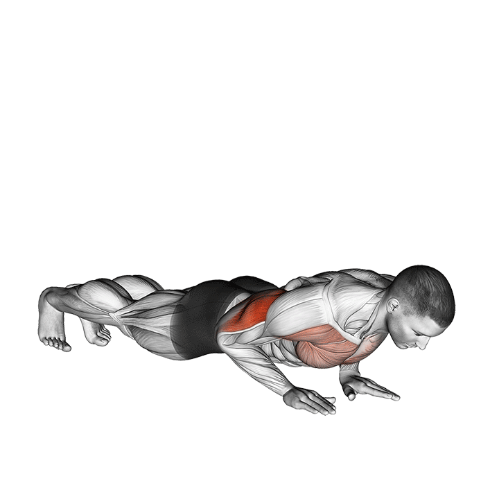 شنا دست جمع (Close Grip Pushup) — حرکت پشتبازو (آموزش تصویری)