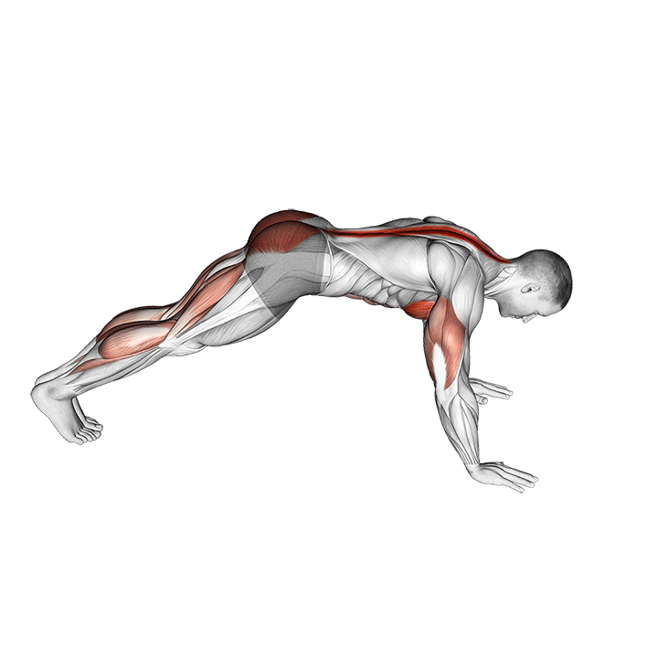 شنا کبری (Cobra Push Up Movement) — حرکت شکم (آموزش تصویری)