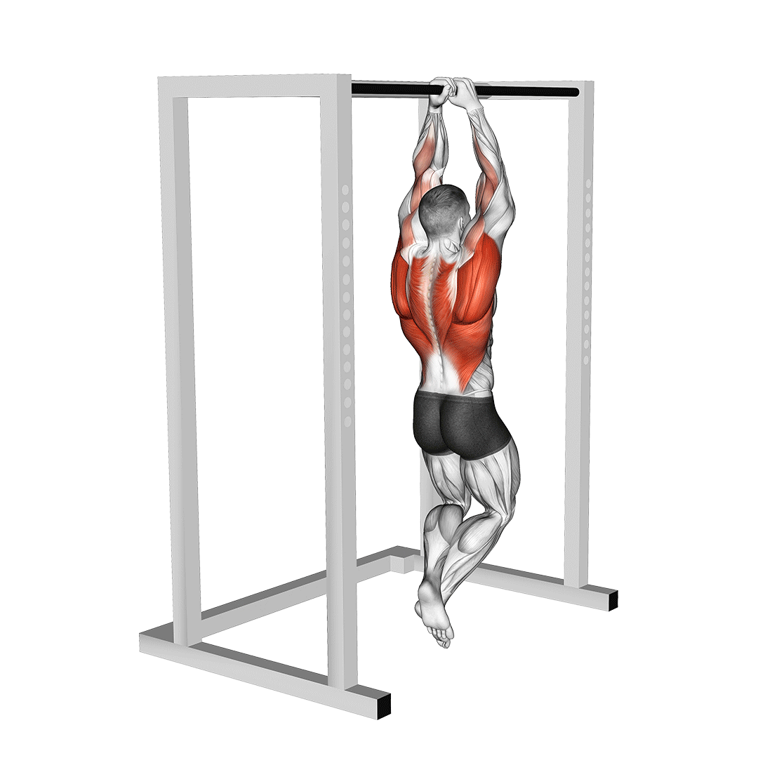 بارفیکس کماندویی (Commando Pull Up) — حرکت زیربغل (آموزش تصویری)