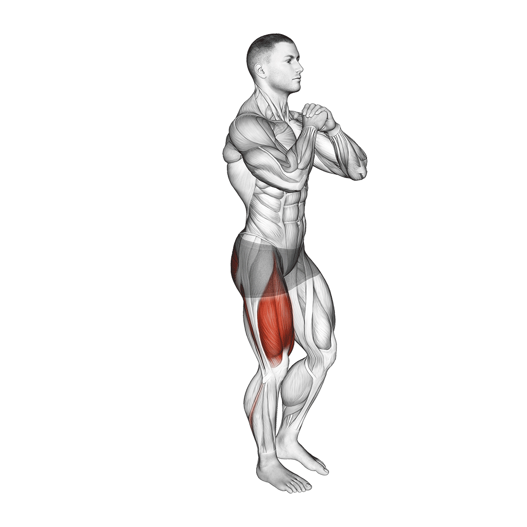 اسکوات تکپا (Conventional Single Leg Squat Muscles) — حرکت چهارسر (آموزش تصویری)