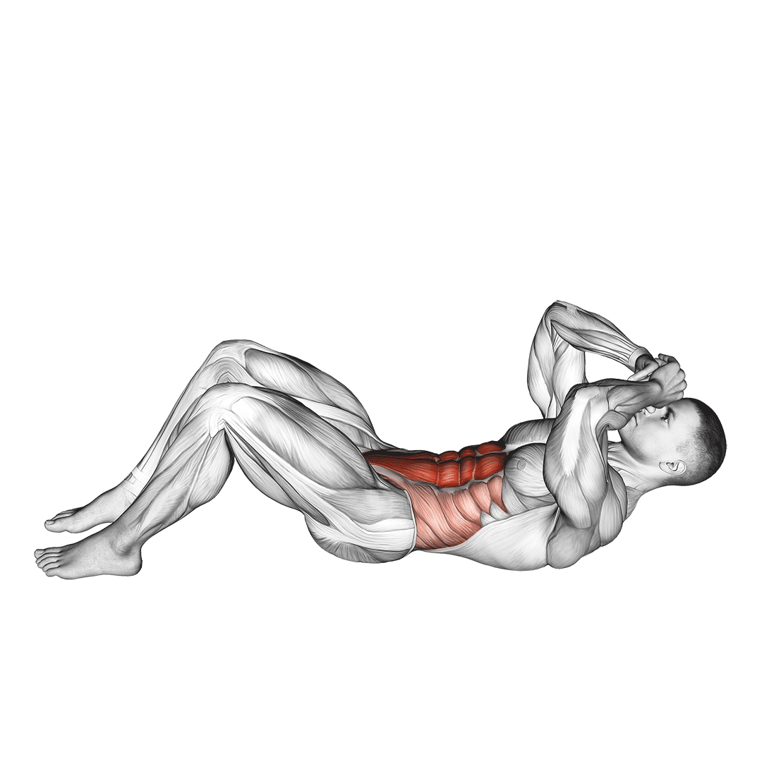 دراز و نشست (Conventional Sit Up) — حرکت شکم (آموزش تصویری)