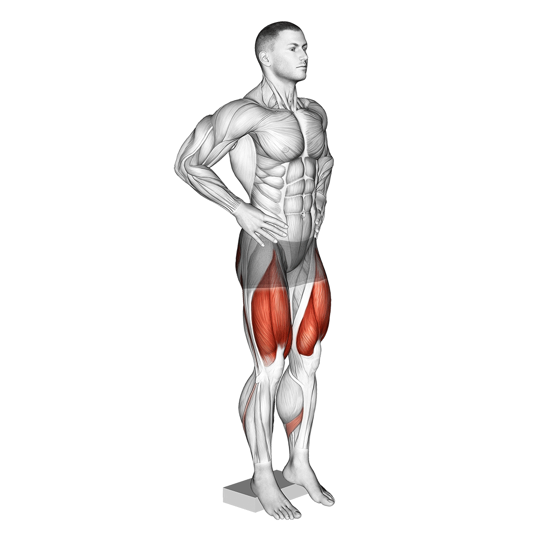 اسکوات سایکلیست (Cyclist Squat) — حرکت چهارسر (آموزش تصویری)