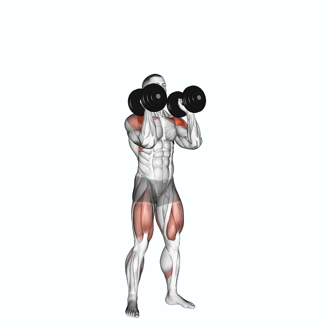 پرس سرشانه دمبل چکشی (Db Push Press) — حرکت سرشانه (آموزش تصویری)