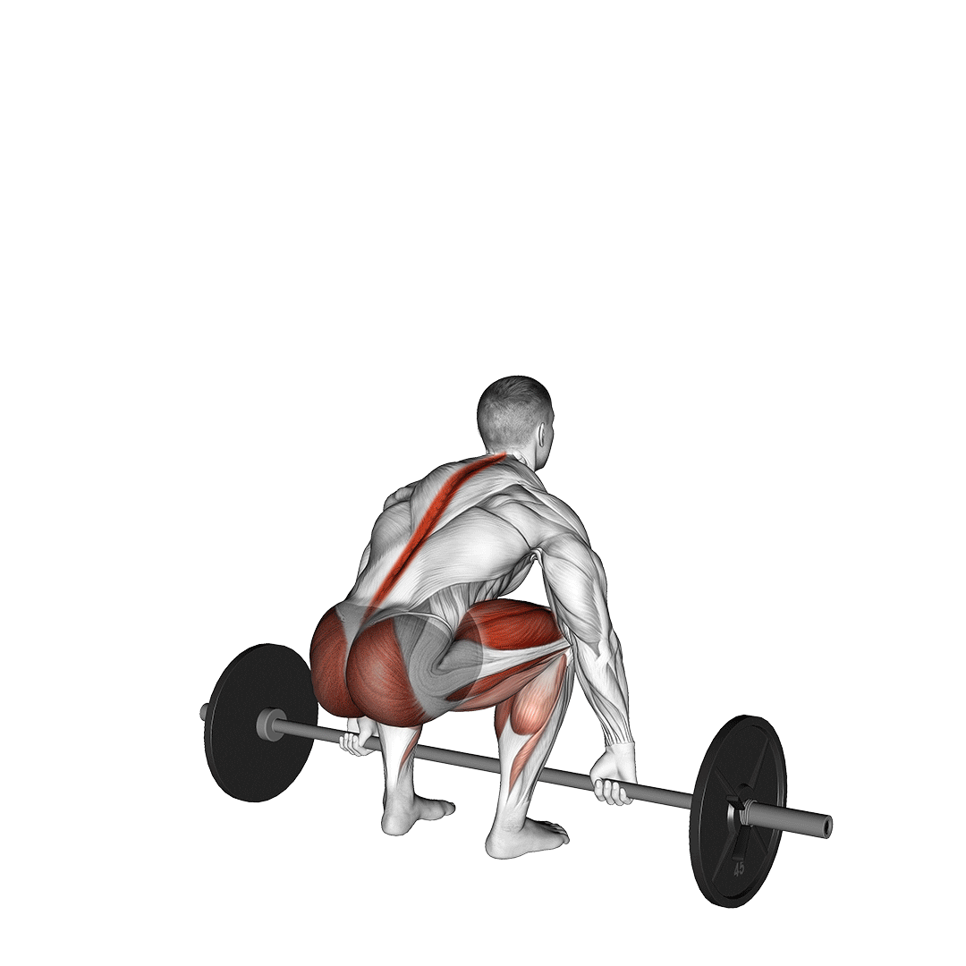 ددلیفت با گریپ هوک (Deadlift Hook Grip) — حرکت فیله (آموزش تصویری)