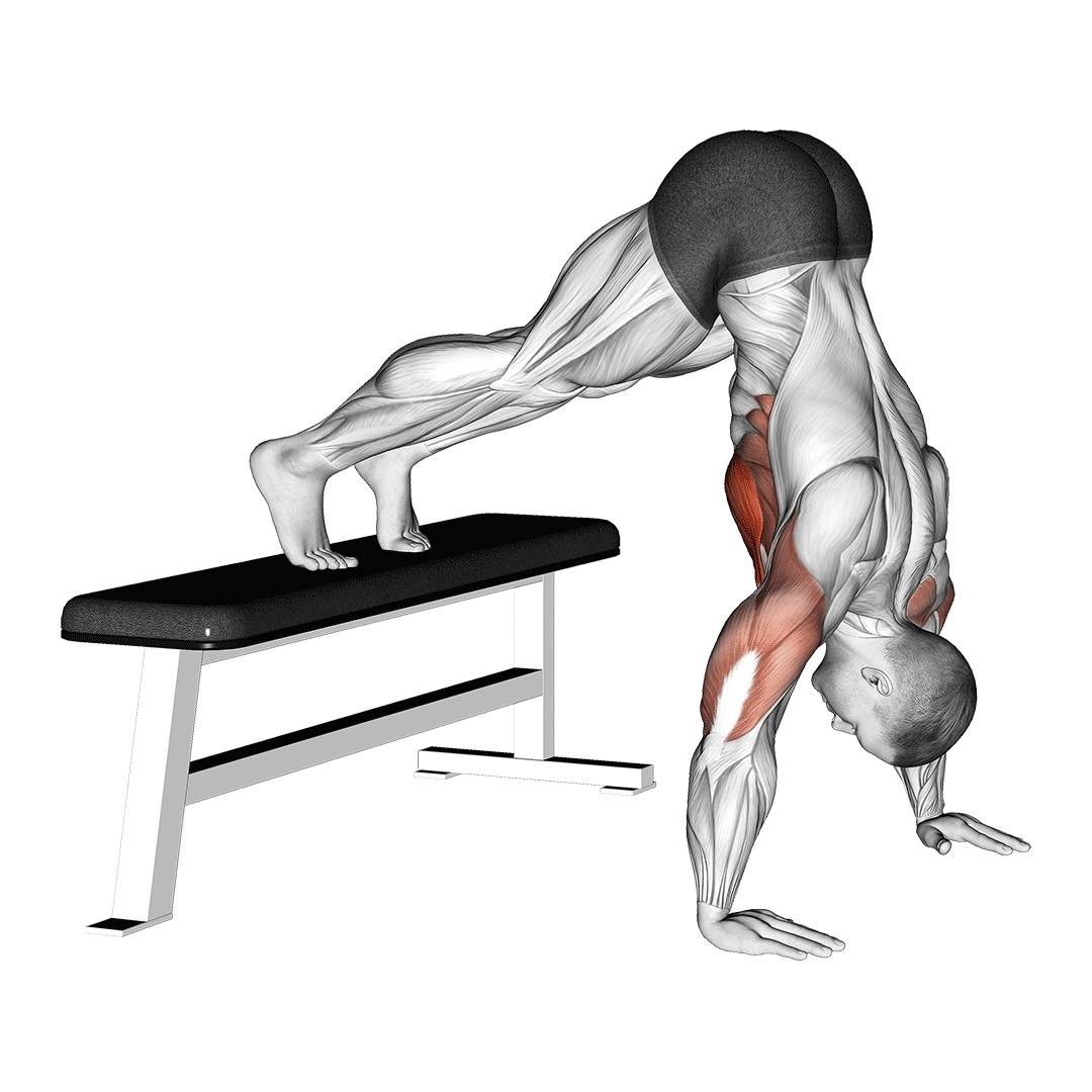 شنا پایک روی میز (Decline Pike Push Up) — حرکت سرشانه (آموزش تصویری)