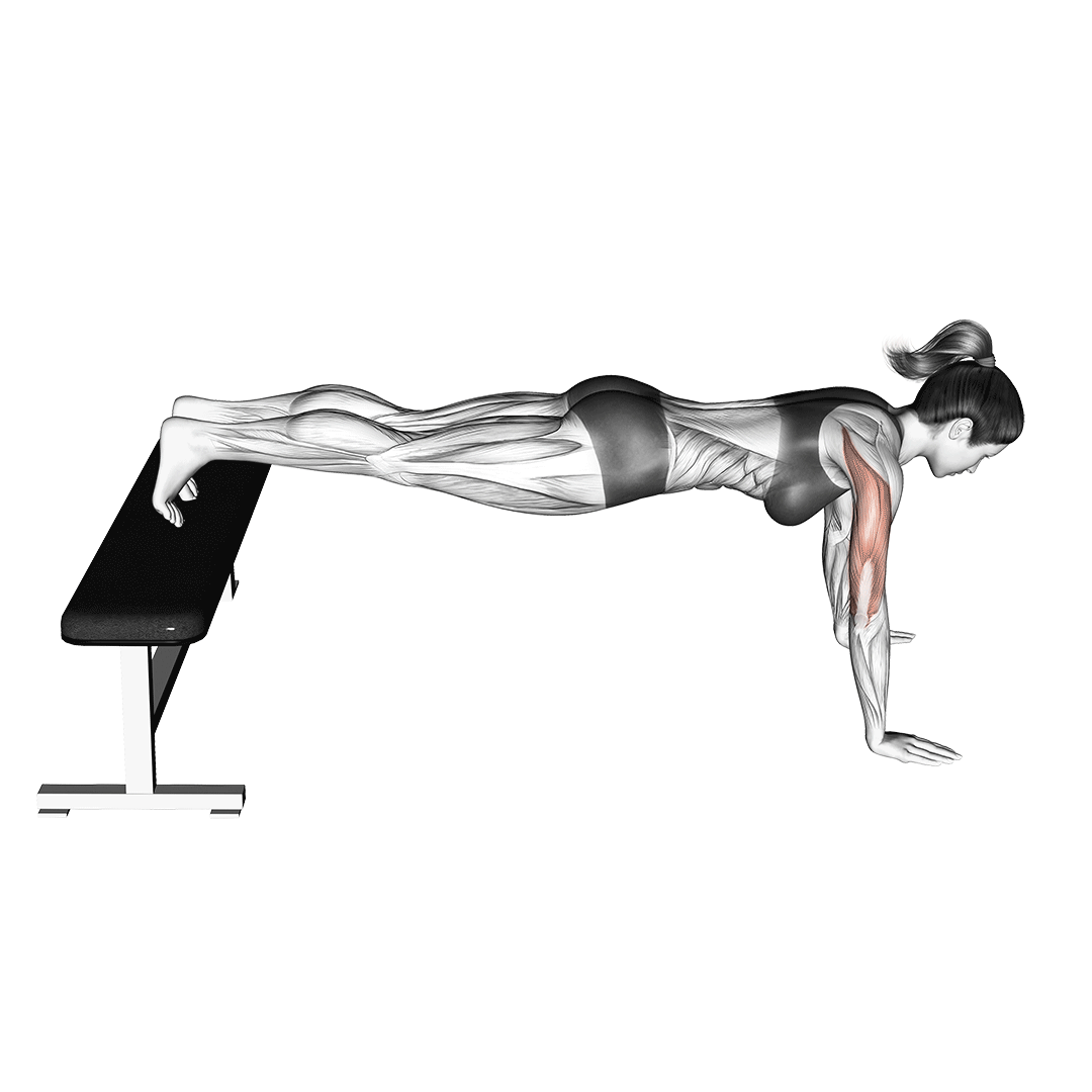 شنا سوئدی پا بالا (Decline Push Up) — حرکت سینه (آموزش تصویری)