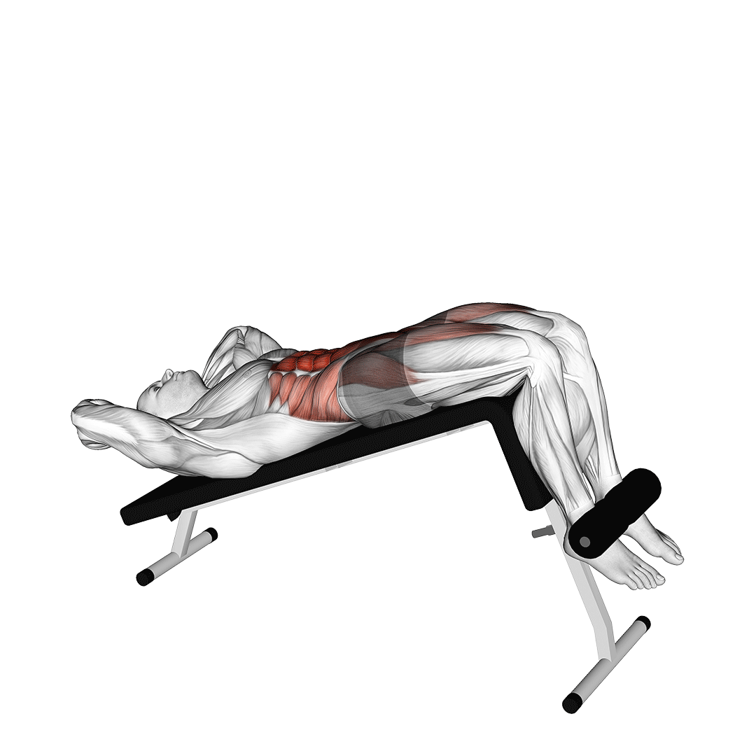 دراز و نشست میز شیبدار (Decline Sit Up) — حرکت شکم (آموزش تصویری)