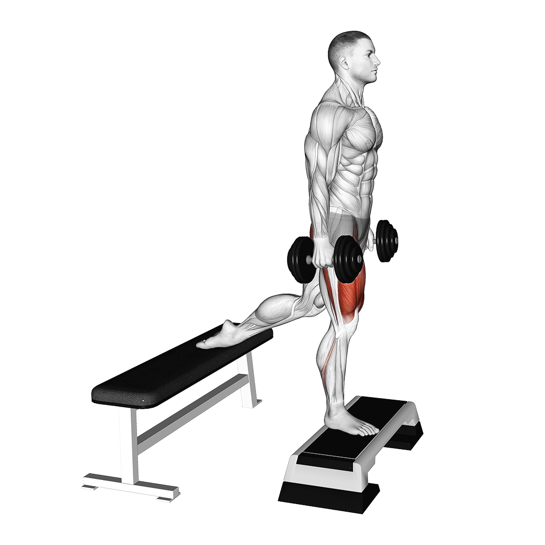 اسکوات بلغاری با اختلاف سطح (Deficit Bulgarian Split Squat) — حرکت باسن (آموزش تصویری)