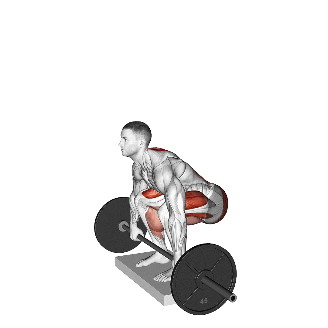 ددلیفت از روی سکو (Deficit Deadlift) — حرکت فیله (آموزش تصویری)