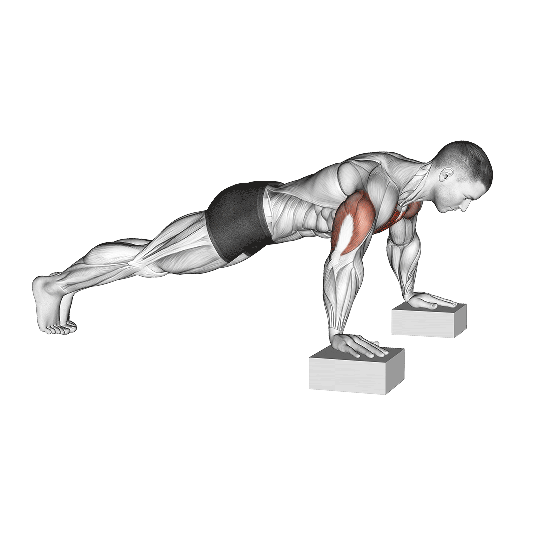 شنا سوئدی با دامنه بیشتر (Deficit Push Ups) — حرکت سینه (آموزش تصویری)