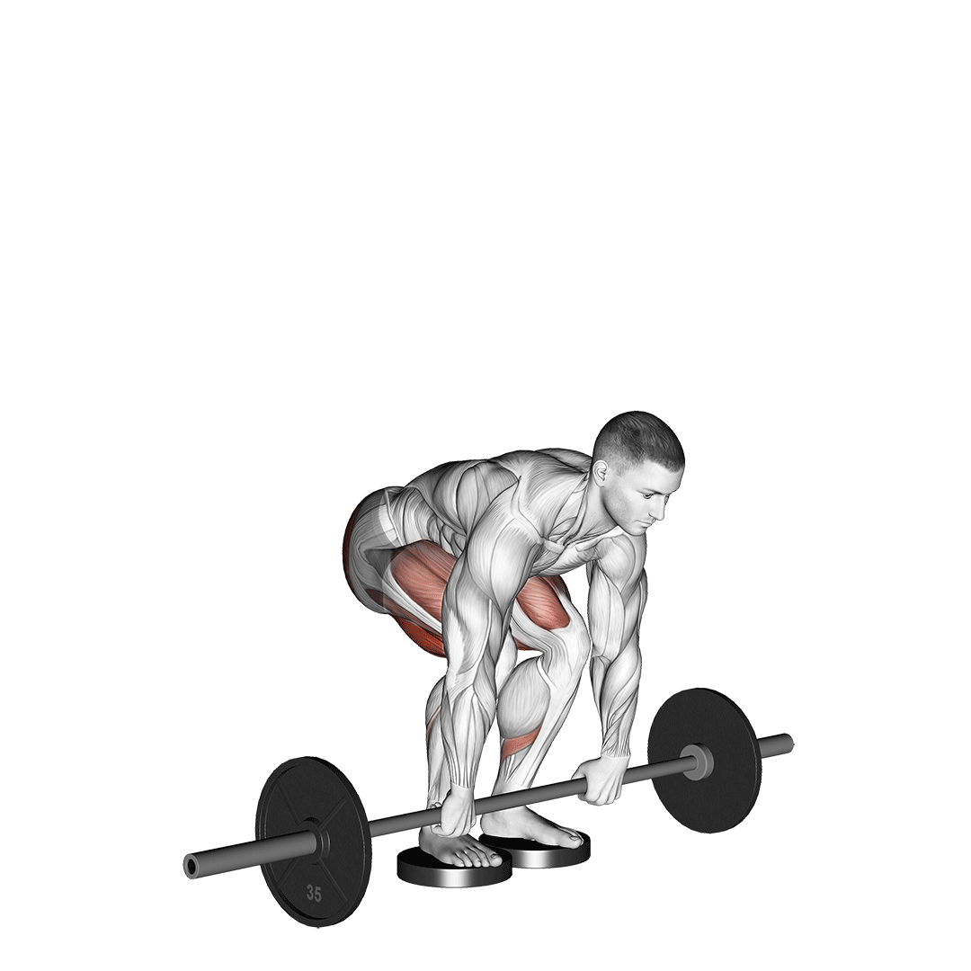 ددلیفت رومانیایی با دامنه بیشتر (Deficit Romanian Deadlift) — حرکت همسترینگ (آموزش تصویری)