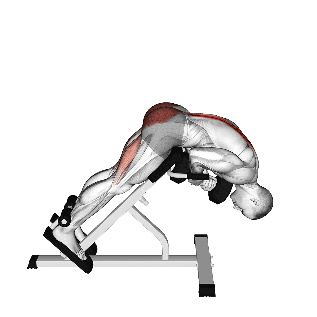 فیله کمر با دمبل (Dumbbell Back Extension) — حرکت فیله (آموزش تصویری)