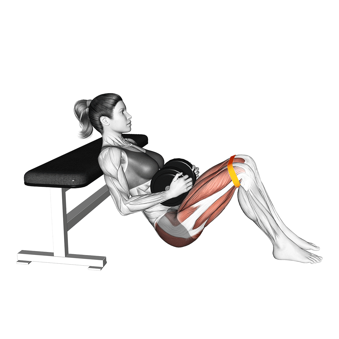 هیپ تراست با دمبل و کش (Dumbbell Banded Hip Thrust) — حرکت باسن (آموزش تصویری)