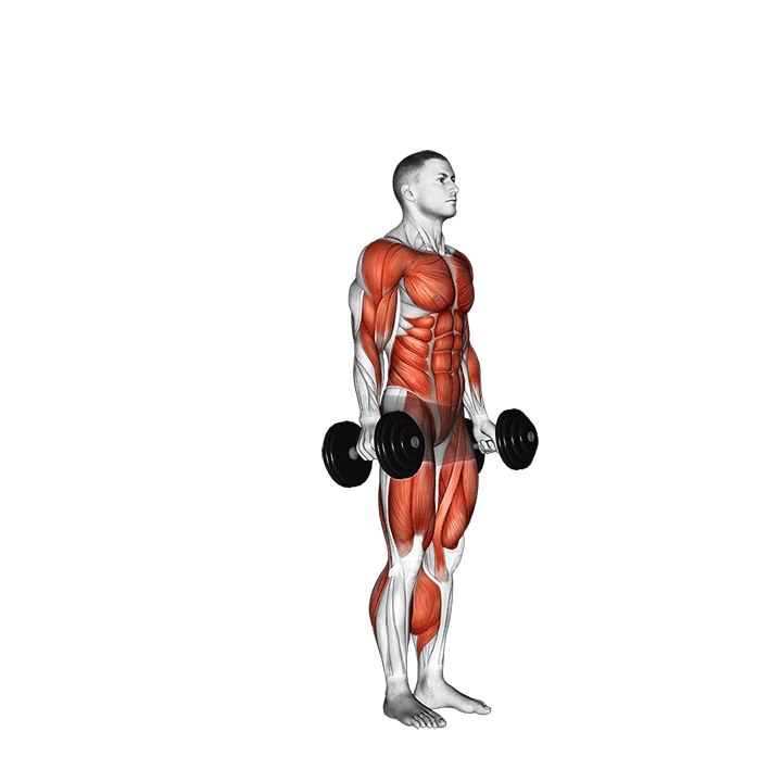 برپی با دمبل (Dumbbell Burpee Movement) — حرکت کل بدن (آموزش تصویری)