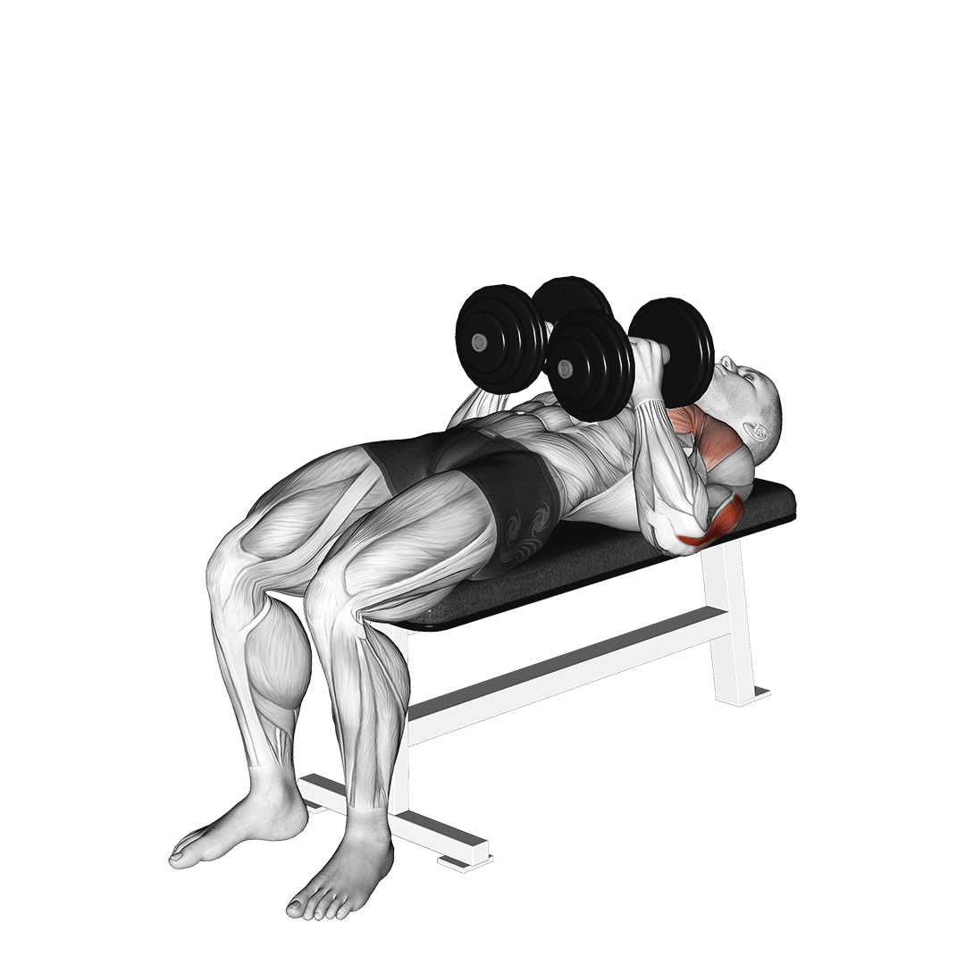 پرس سینه دست جمع دمبل (Dumbbell Close Grip Press) — حرکت پشتبازو (آموزش تصویری)