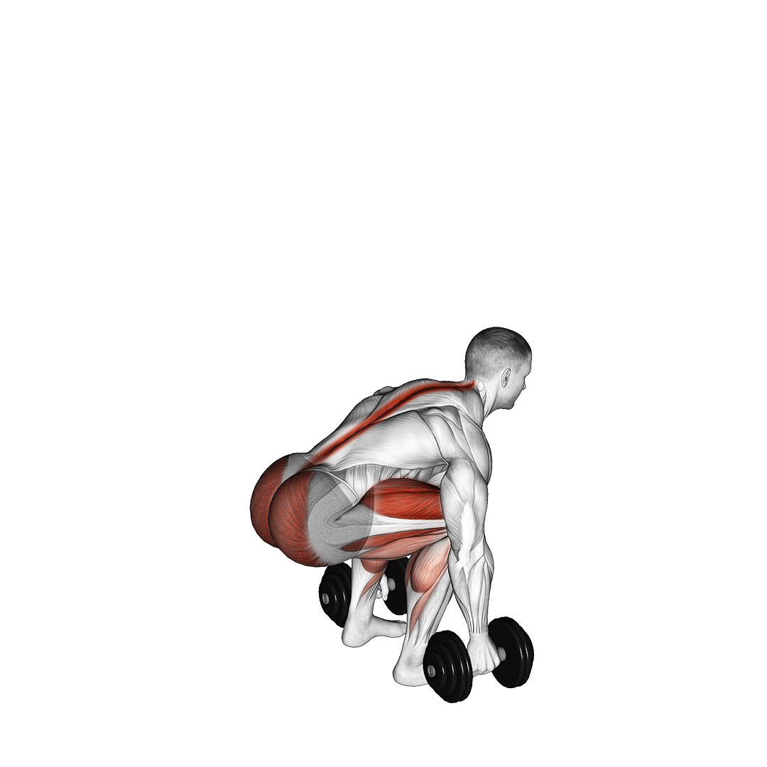 ددلیفت دمبل با دست خنثی (Dumbbell Deadlift Neutral Grip) — حرکت پشت (آموزش تصویری)
