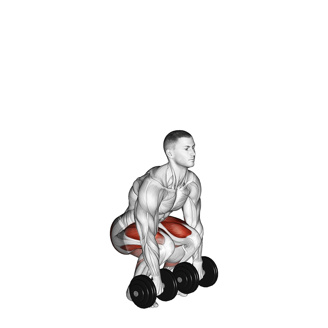 ددلیفت دمبل (Dumbbell Deadlift) — حرکت پشت (آموزش تصویری)