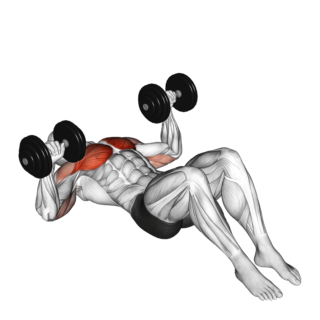 پرس سینه دمبل روی زمین (Dumbbell Floor Press) — حرکت سینه (آموزش تصویری)
