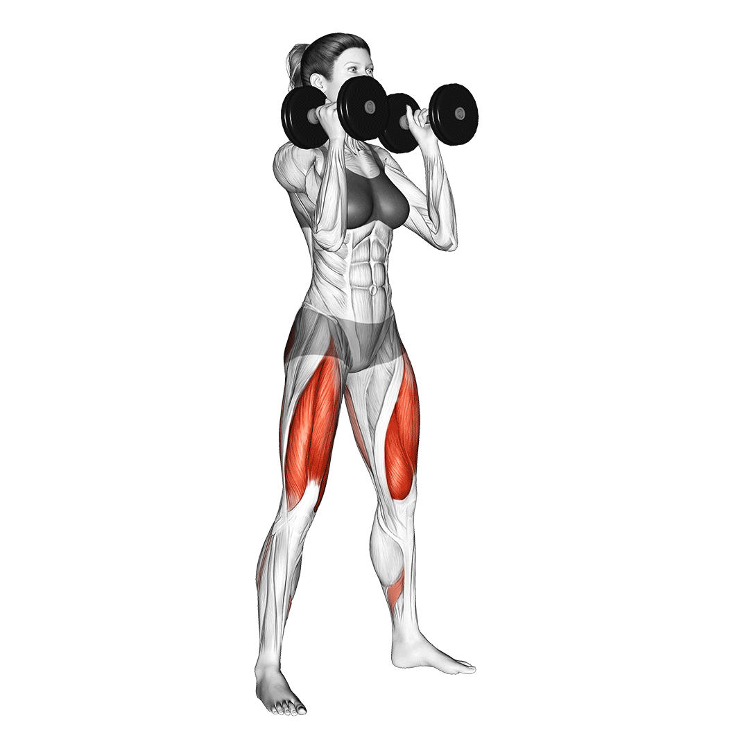 اسکوات از جلو دمبل (Dumbbell Front Squat) — حرکت چهارسر (آموزش تصویری)