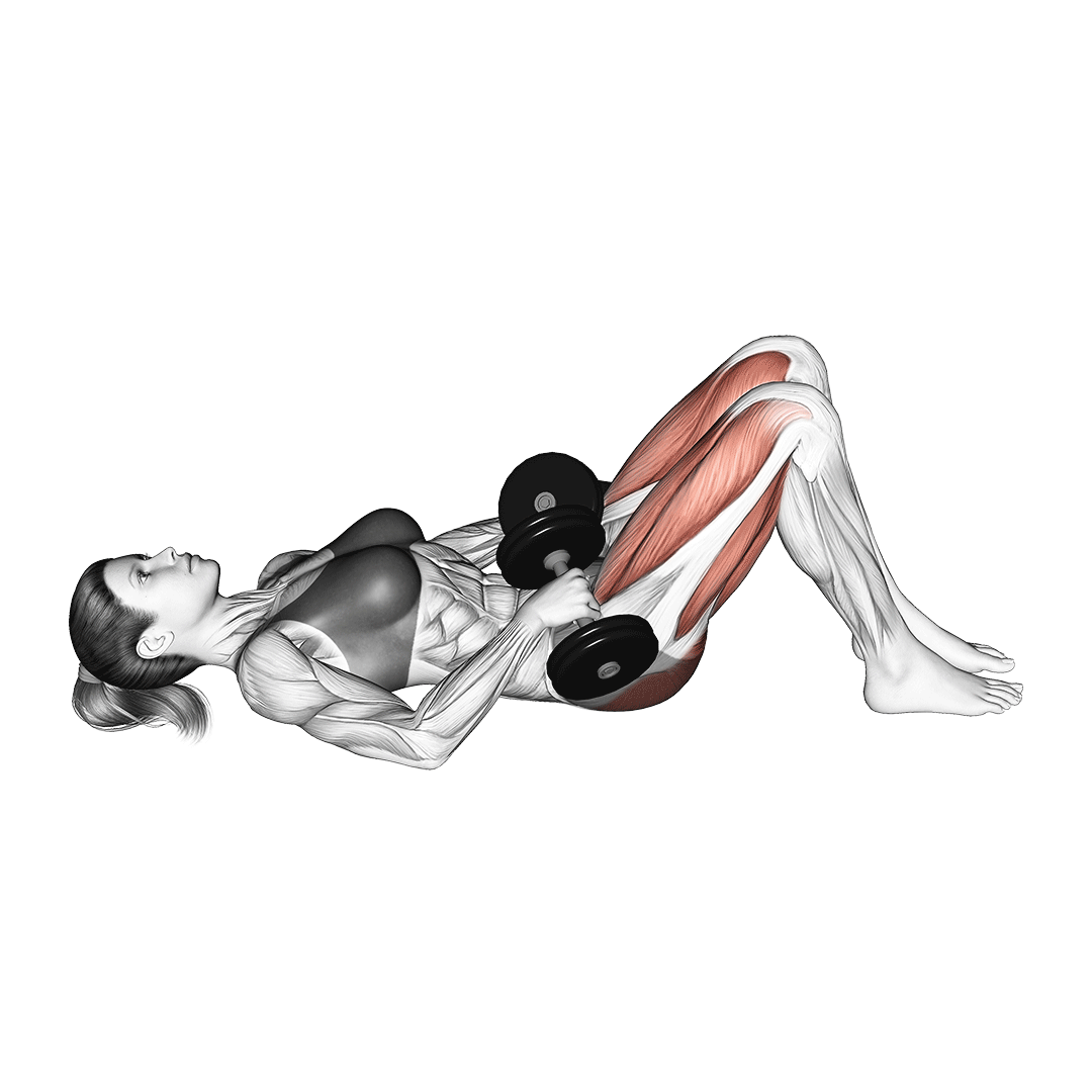 پل باسن دمبل (Dumbbell Glute Bridge) — حرکت باسن (آموزش تصویری)