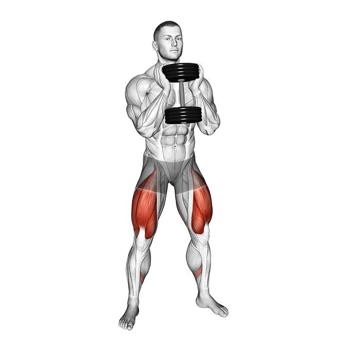 اسکوات گابلت (Dumbbell Goblet Squat Muscles) — حرکت چهارسر (آموزش تصویری)