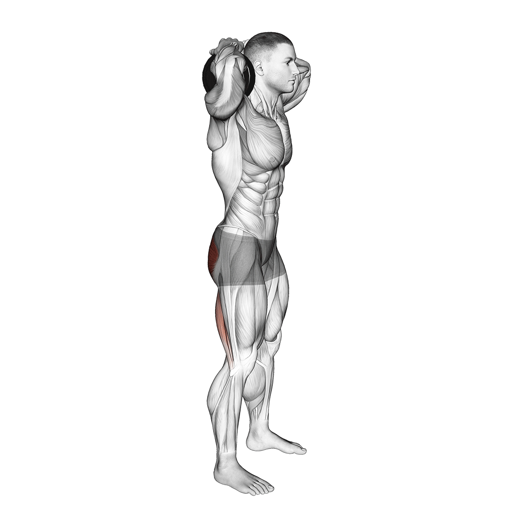 گود مورنینگ دمبل (Dumbbell Good Morning) — حرکت فیله (آموزش تصویری)