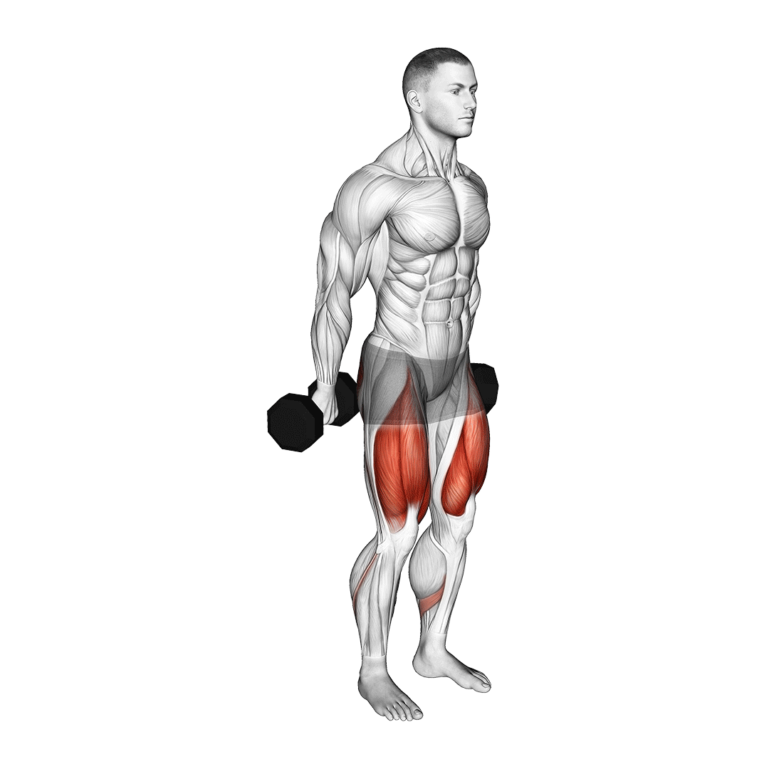 هک اسکوات دمبل (Dumbbell Hack Squat) — حرکت چهارسر (آموزش تصویری)